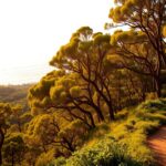 Royal National Park