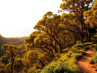 Royal National Park