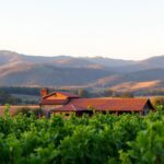Yarra Valley Wein